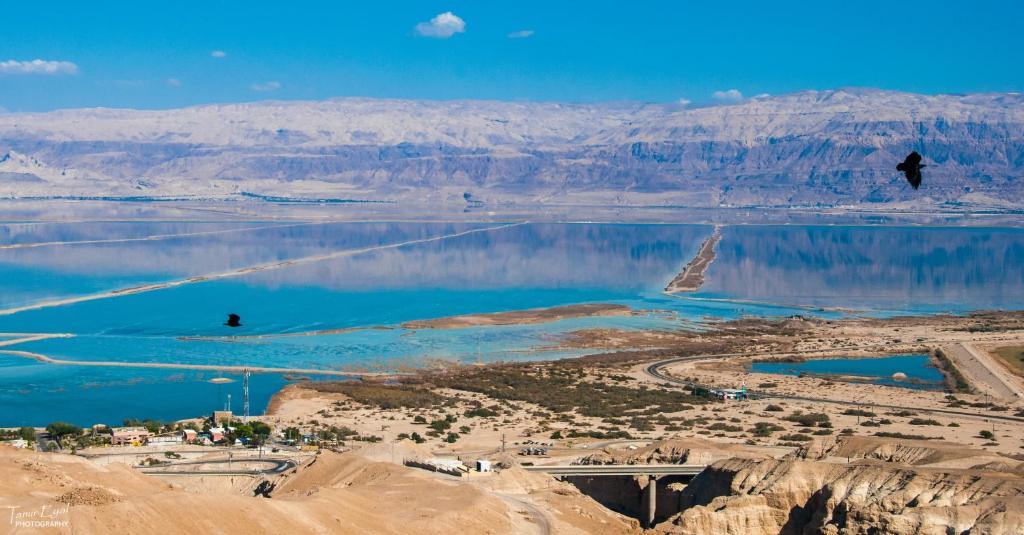 فندق زيمر دورا نيفيه زوهار المظهر الخارجي الصورة
